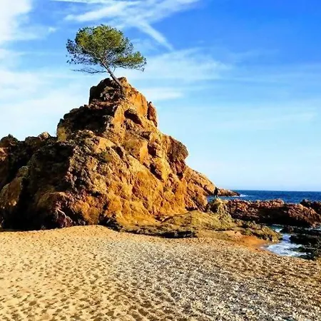 Mar Menuda A Pocos Metros De La Playa Tossa de Mar