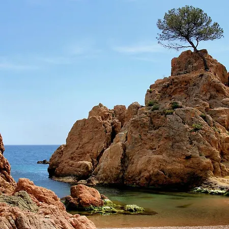 Mar Menuda - Vistas Al Mar, Terraza Y Parking * Tossa de Mar