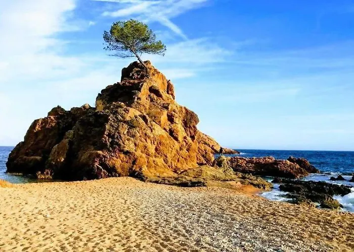 Mar Menuda - Vistas Al Mar, Terraza Y Parking Тосса-де-Мар